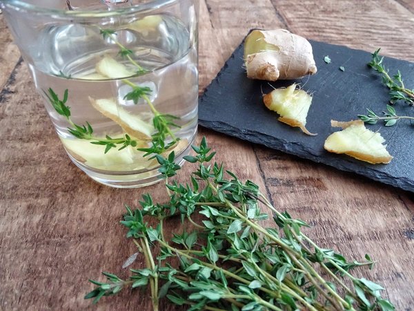 Les avantages de consommer des aliments fermentés pour une digestion saine et une meilleure assimilation des nutriments