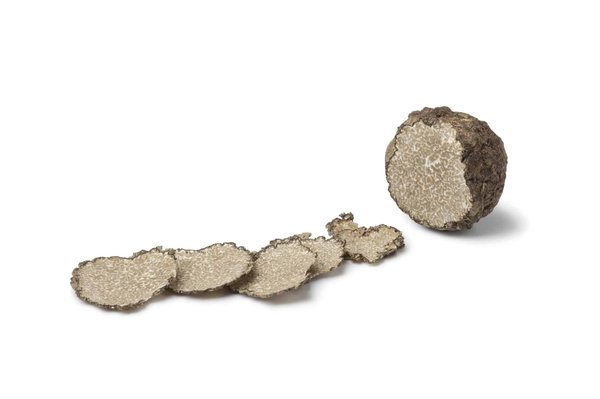 Quelles sont les principales variétés de truffes les plus prisées dans le monde ?